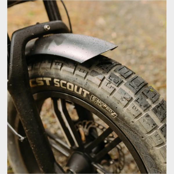 Buitenband Fatbike 20x4.00 CST Scout - Afbeelding 4